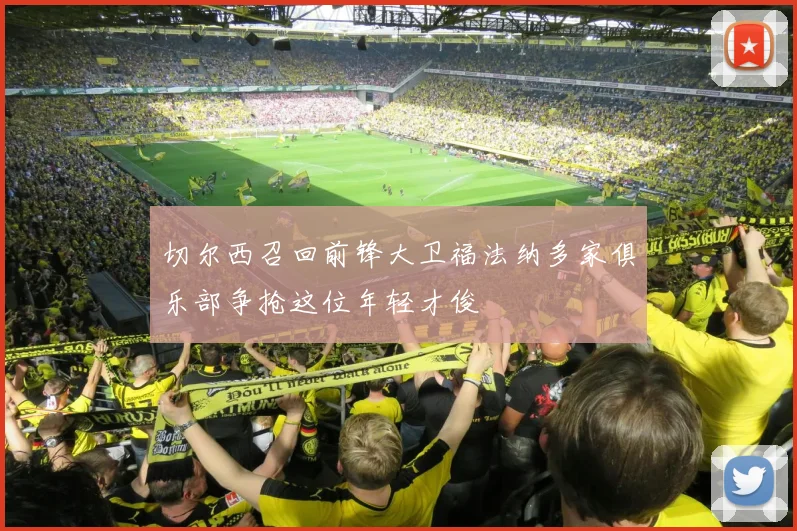 切尔西召回前锋大卫福法纳多家俱乐部争抢这位年轻才俊